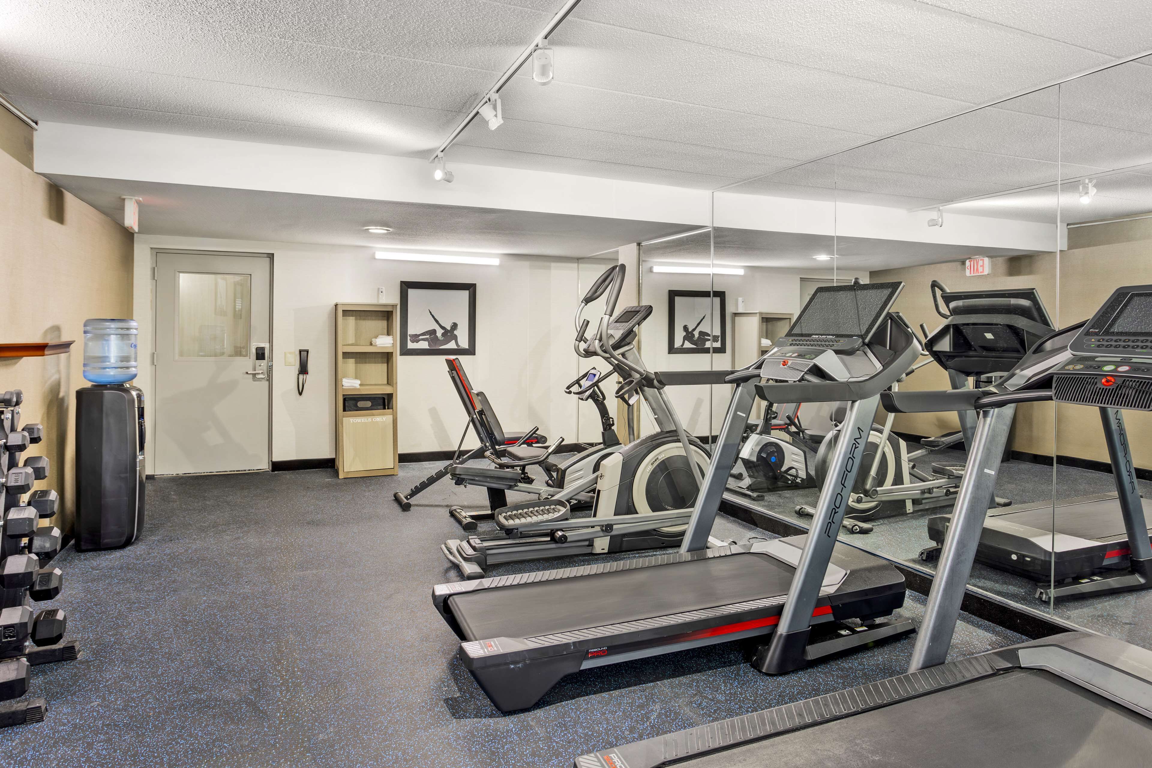 A gym with treadmills, elliptical machines, and free weights.