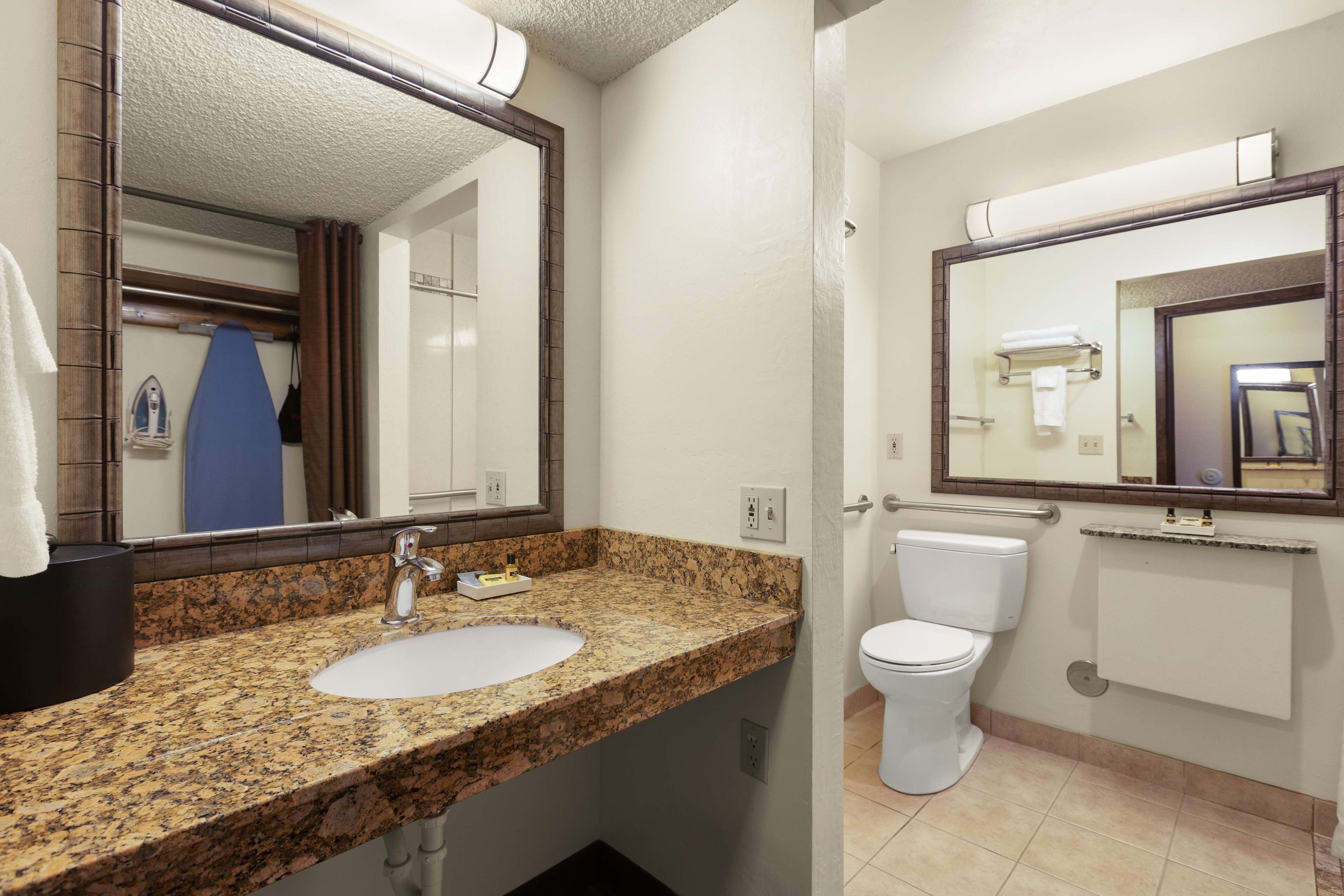 standard room, 1 king bed, accessible, courtyard view (courtyard view) | accessible bathroom