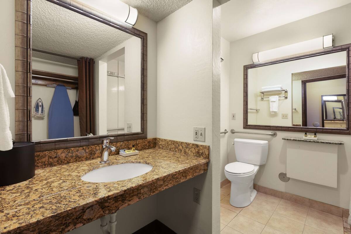 standard room, 1 king bed, accessible, courtyard view (courtyard view) | accessible bathroom