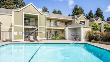 Seasonal outdoor pool, sun loungers