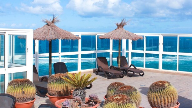 Una terraza con tumbonas, una sombrilla de paja y cactus en macetas.