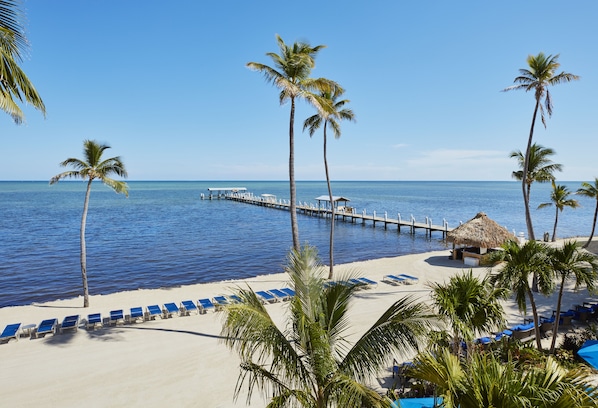 Plage privée, chaise longue, parasol, serviettes de plage