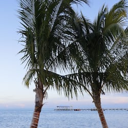 Private beach, sun loungers, beach umbrellas, beach towels