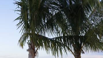 Spiaggia privata, lettini da mare, ombrelloni, teli da spiaggia
