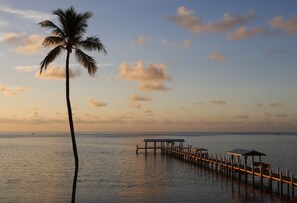 Dock