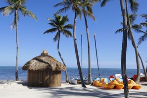 A beach with a thatched hut, palm trees, and water sports equipment.