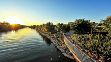 A riverside walkway with a metal railing, trees, and a clear sky.