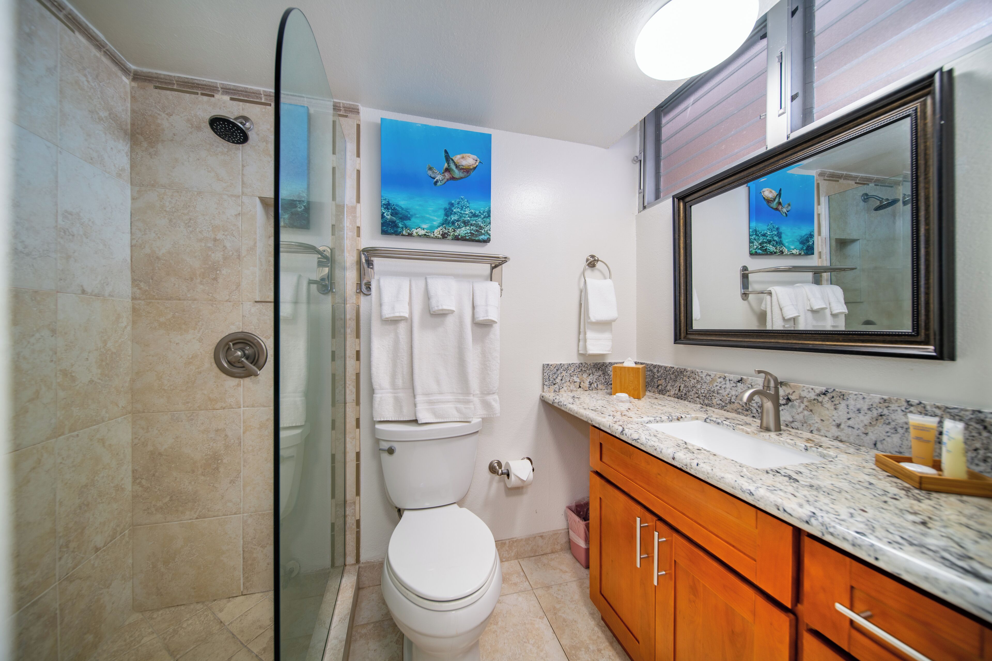 A bathroom with a shower, toilet, sink, and a large mirror.