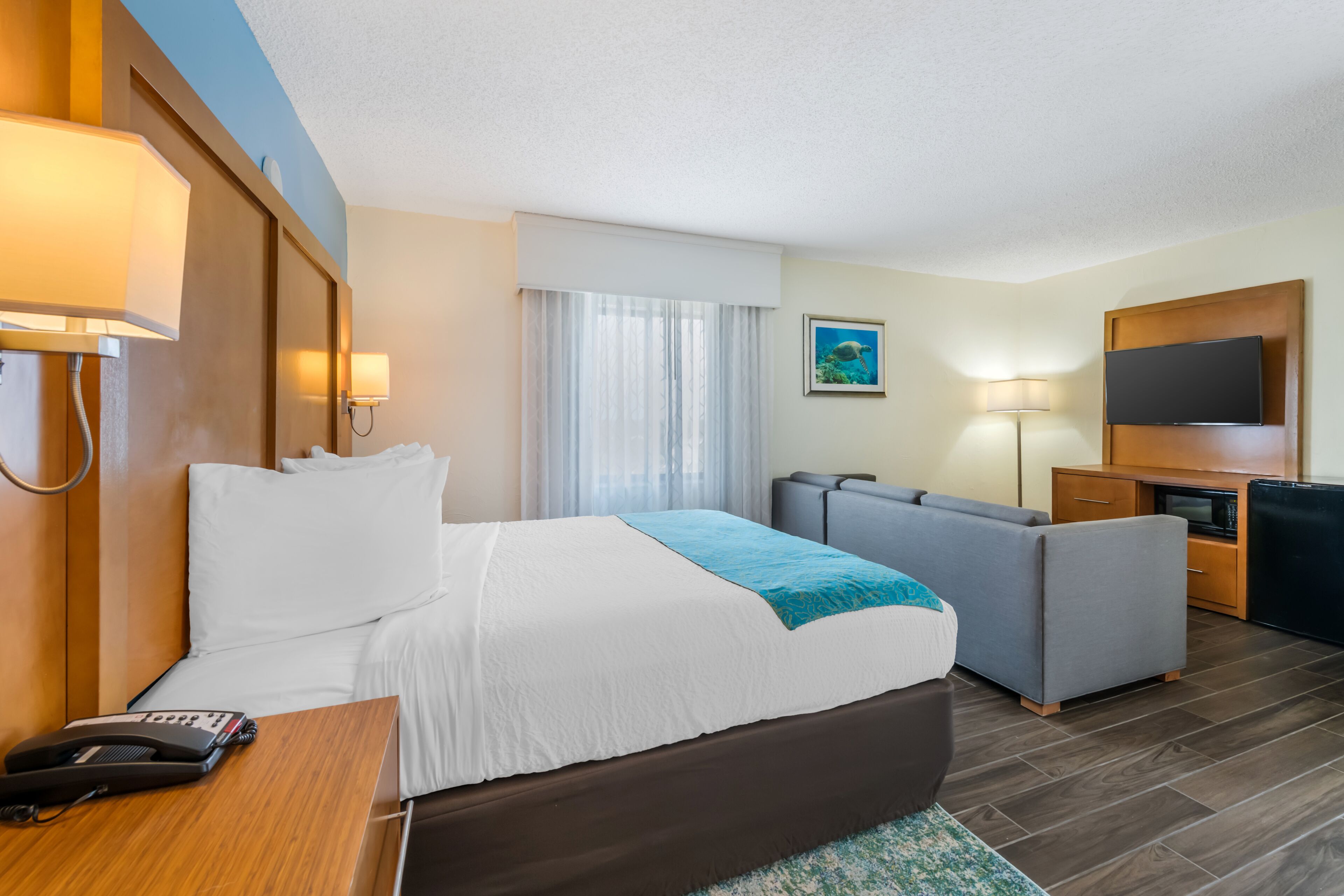 Une chambre d’hôtel avec un lit, un bureau, un canapé, une télévision et une fenêtre avec des rideaux.
