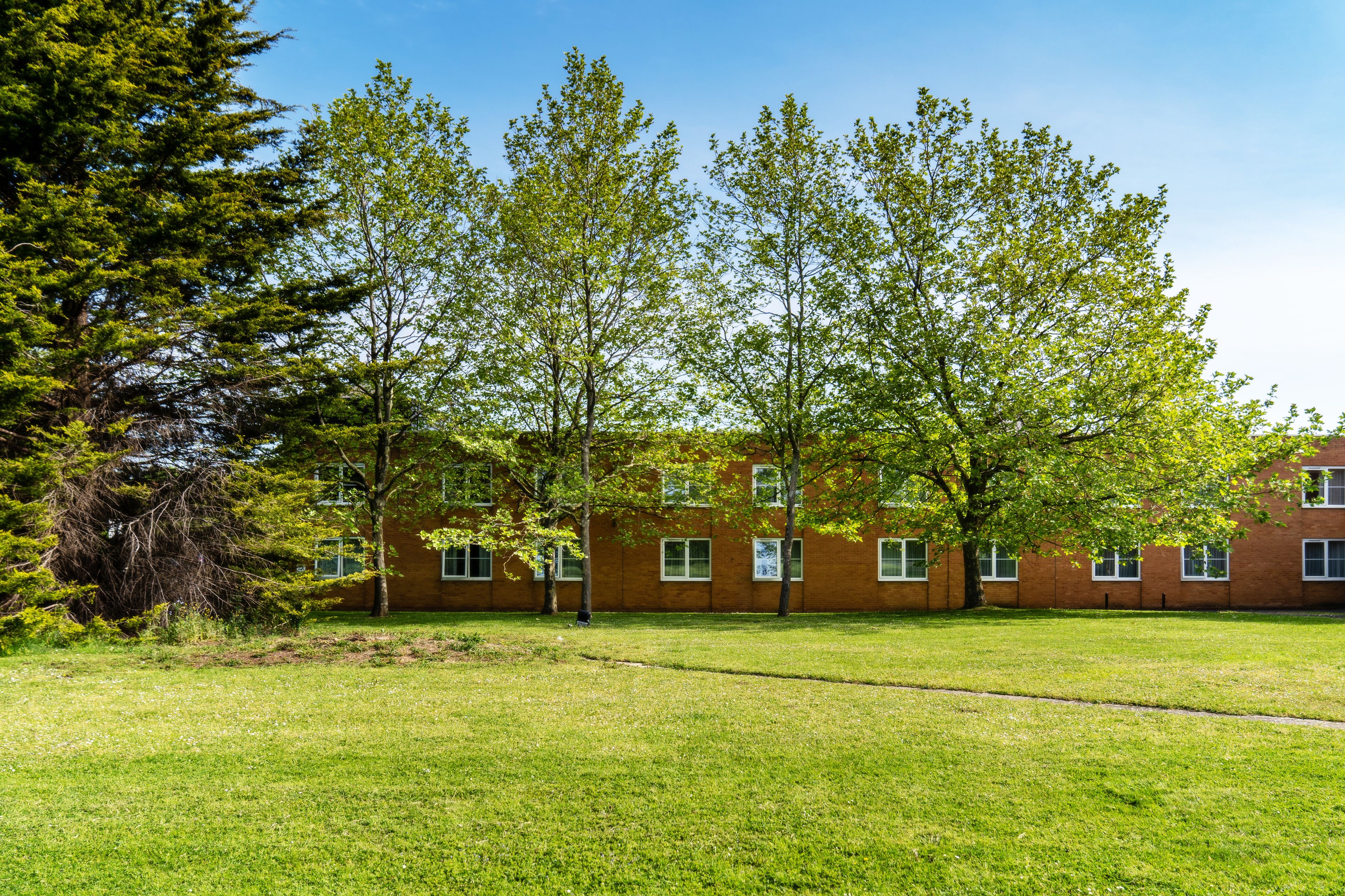 A brick building with multiple windows and a grassy lawn.