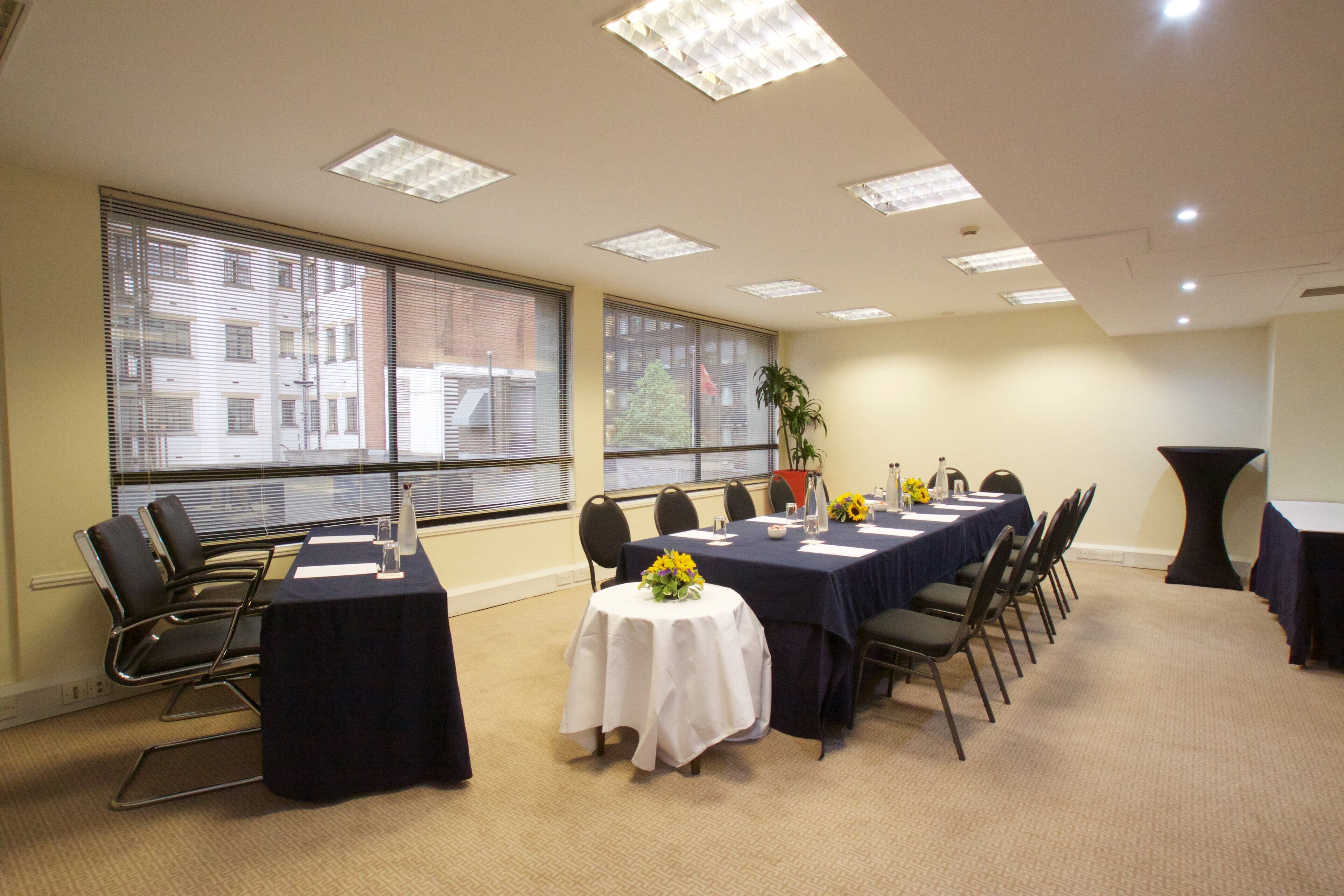 A conference room with a long table, chairs, and a potted plant.