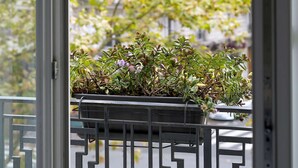 A balcony with a potted plant and a view of a building with balconies. - Best Western Hotel Le Montparnasse (Paris)