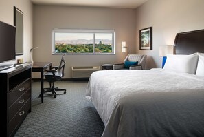 Mountain view - Hilton Garden Inn Denver/Cherry Creek (Denver)