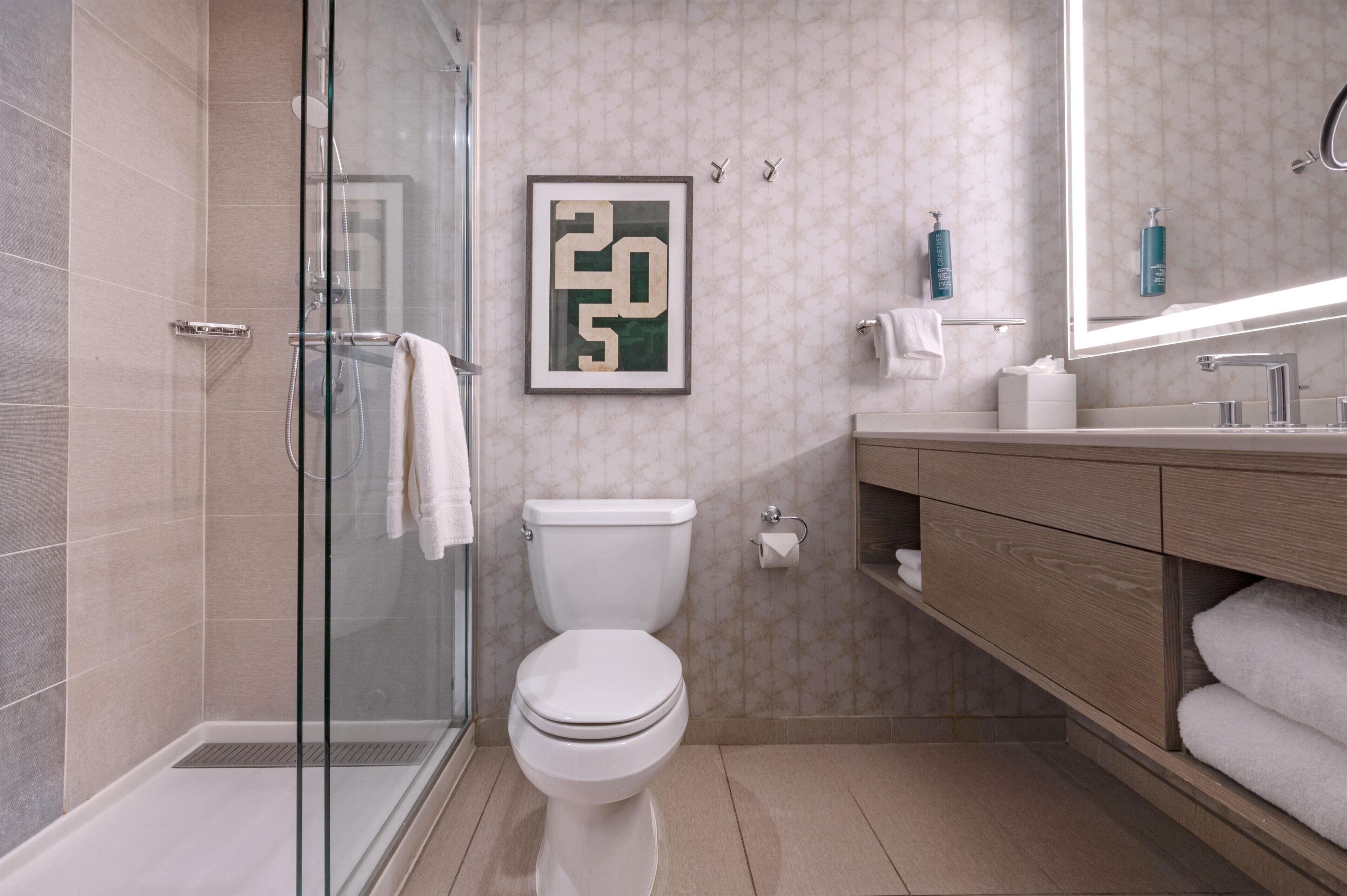 A modern bathroom with a glass-enclosed shower, a toilet, and a wooden vanity with a mirror.
