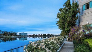 A waterfront pathway lined with white flowers and a building with a modern design. - Grand Bay Hotel San Francisco (Redwood City)