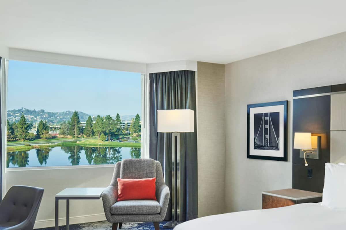 1 bedroom, Egyptian cotton sheets, premium bedding, down comforters