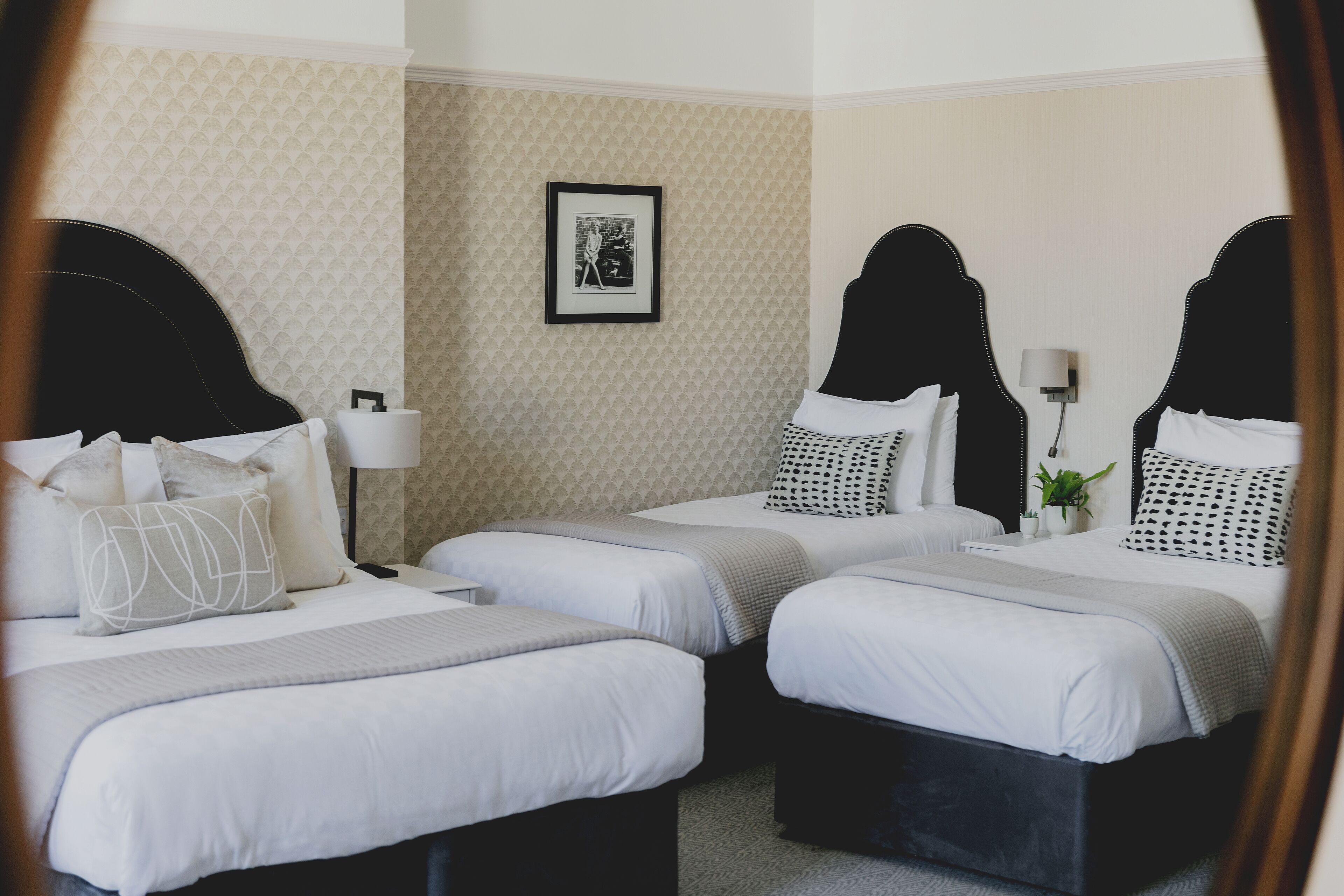 A hotel room with three beds, each with a black headboard and white bedding. There is a framed picture on the wall, a bedside lamp, and a small potted plant on one of the beds.