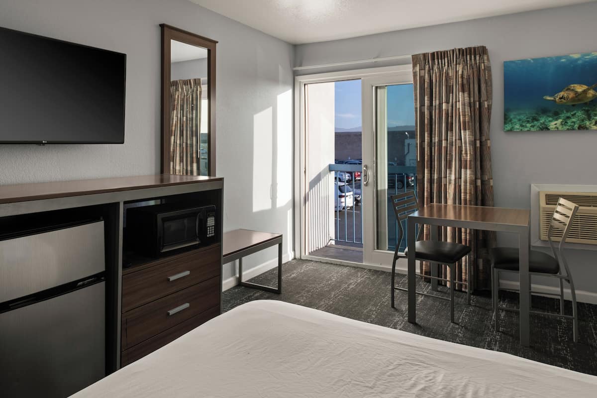 A hotel room with a bed, a desk, a chair, a TV, a microwave, a dresser, a balcony with a view, and a painting of a turtle.