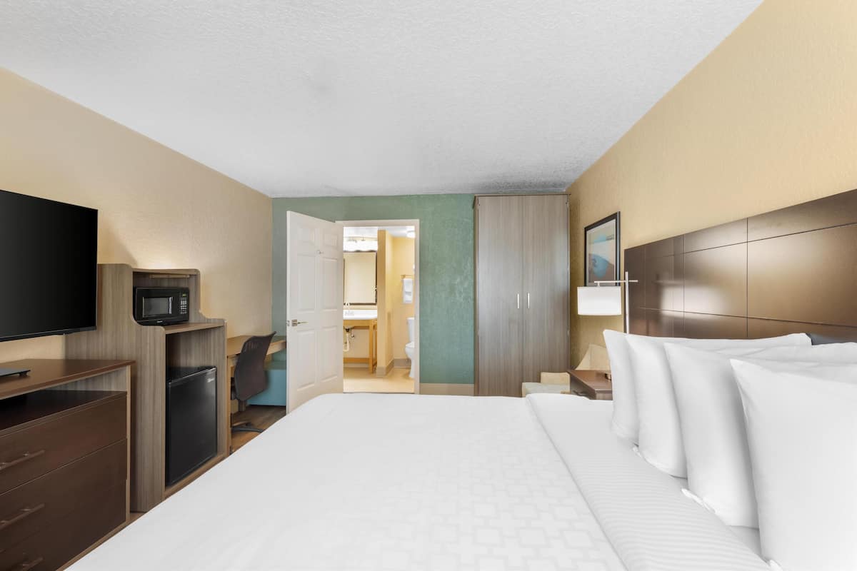 A hotel room with a bed, a TV, a desk, and a microwave.
