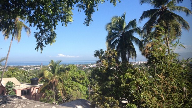 Un paisaje tropical con palmeras y vista al océano.