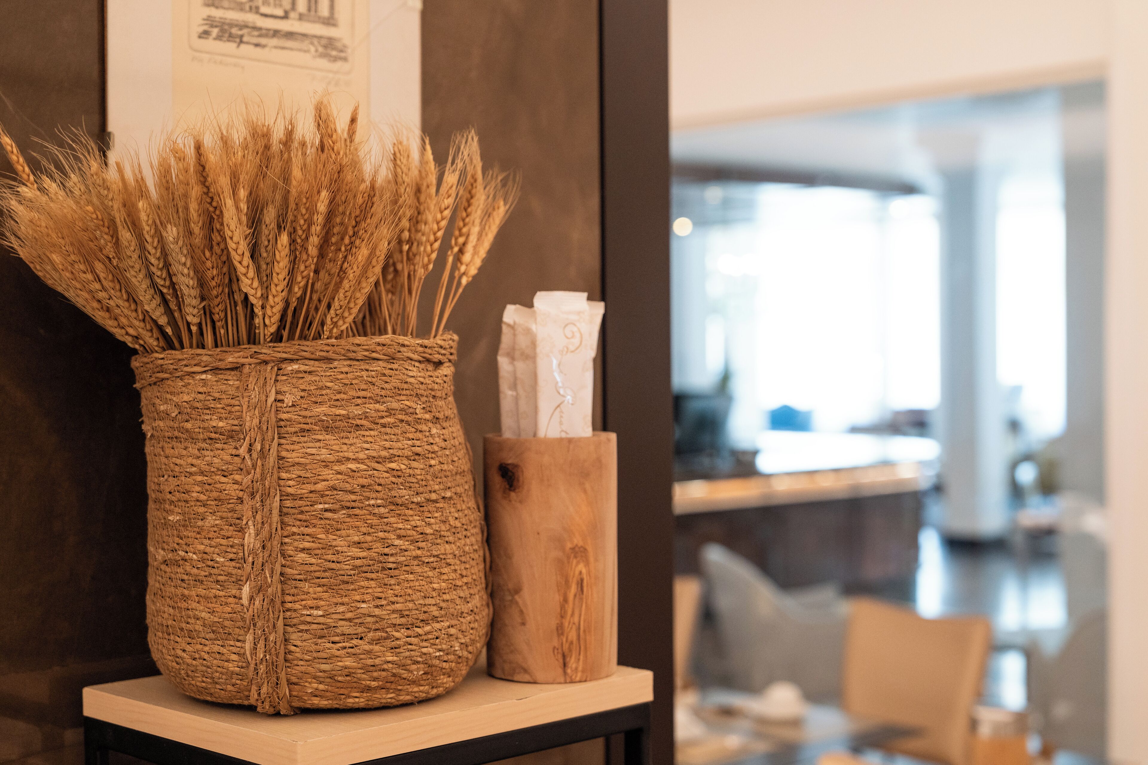 Foto - Hotel Universal Terme