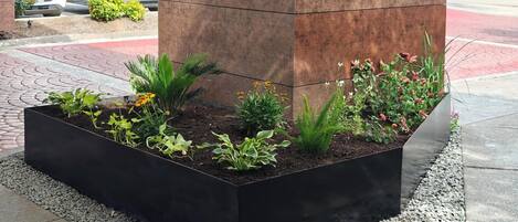 A landscaped planter box with various plants and flowers, positioned against a building's corner.