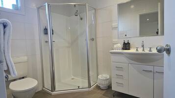 A modern bathroom with a glass-enclosed shower, a toilet, and a sink with a mirror above it.