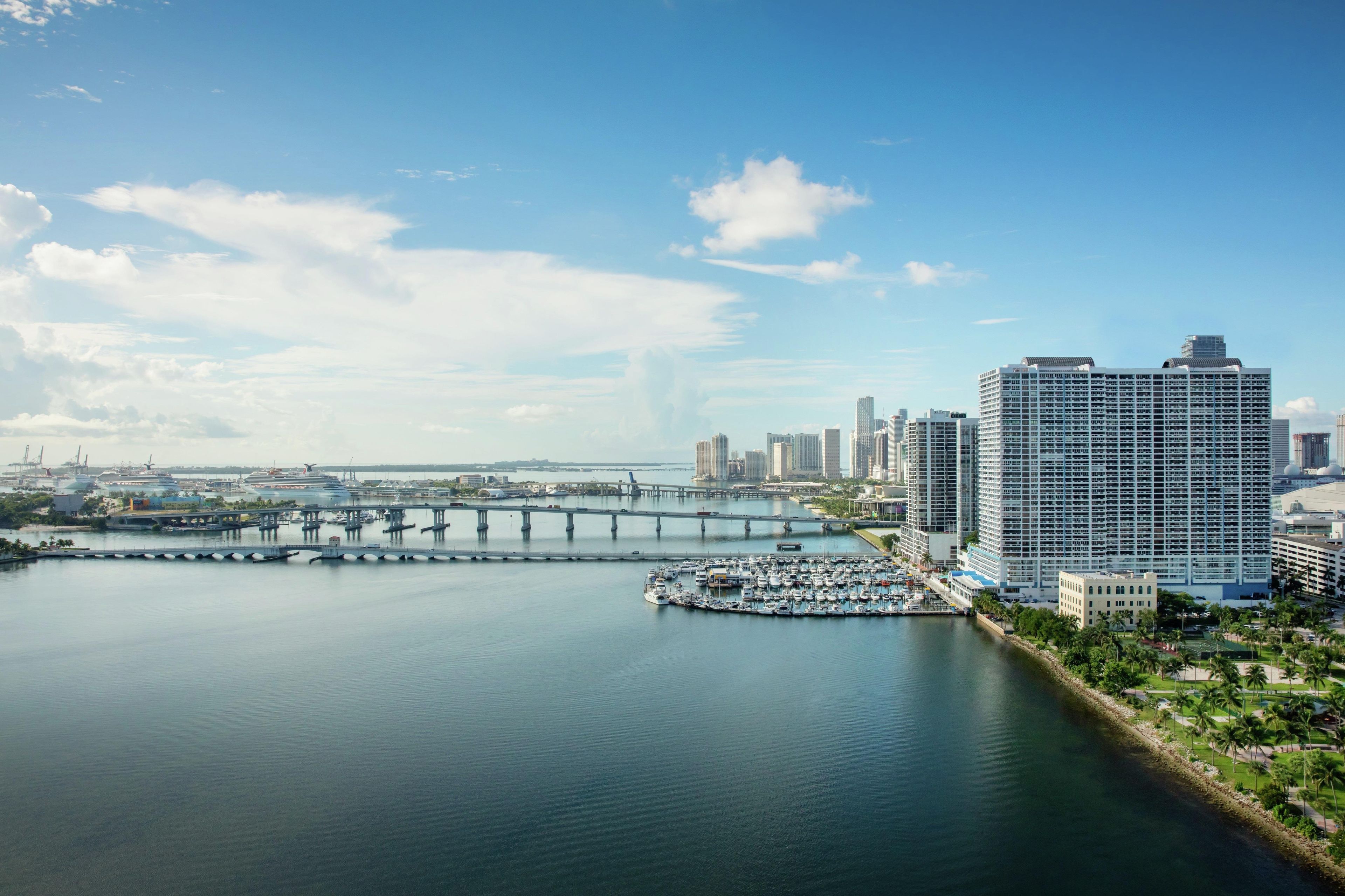 A marina with boats, a bridge, and high-rise buildings in the background.