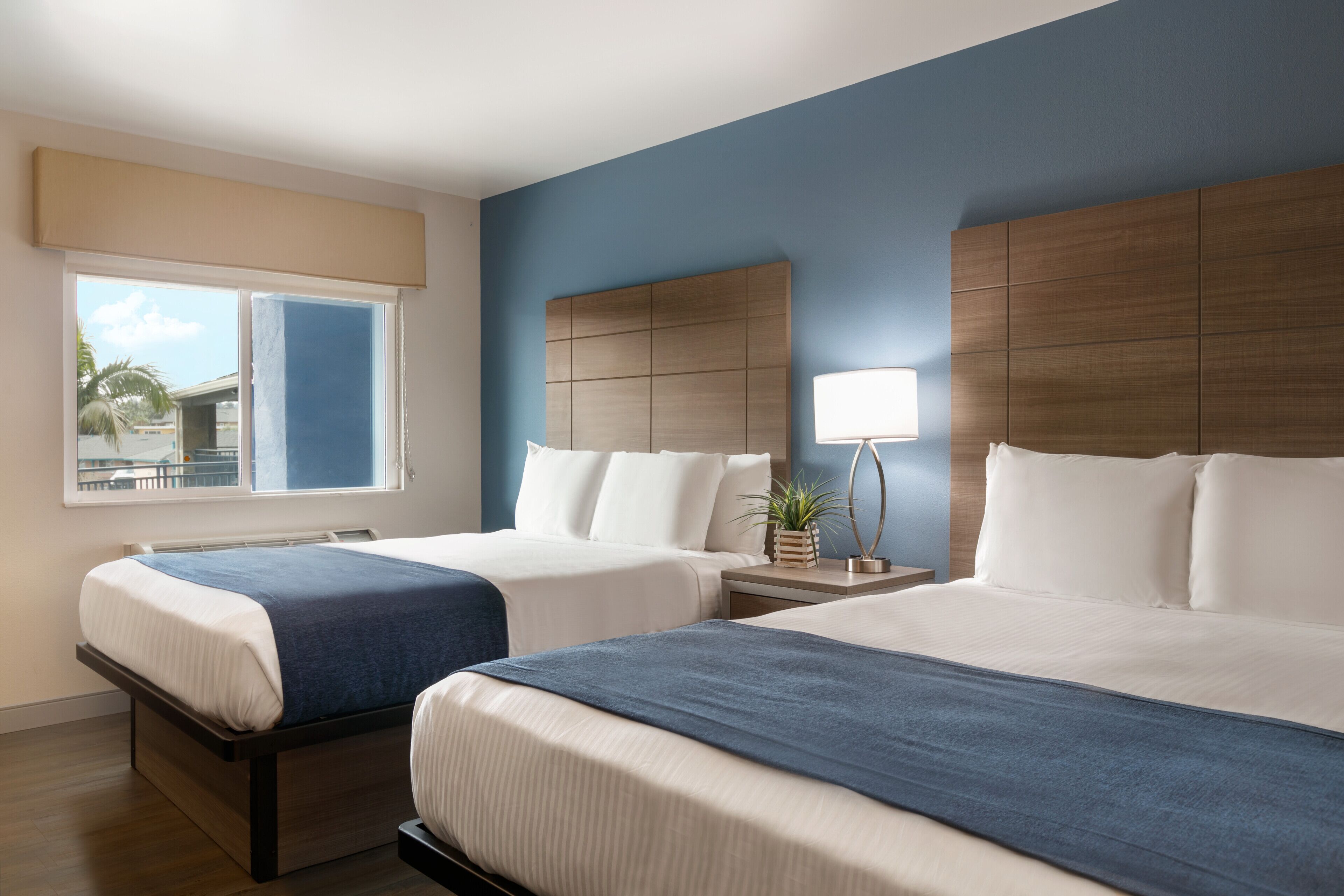 A hotel room with two beds, a window with a view, a bedside table with a lamp, and a potted plant.