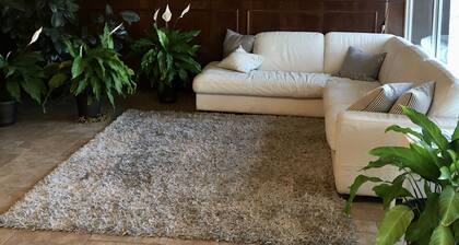 River Rock Hotel Mountain Home