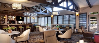 Hilton Tampa Airport Westshore