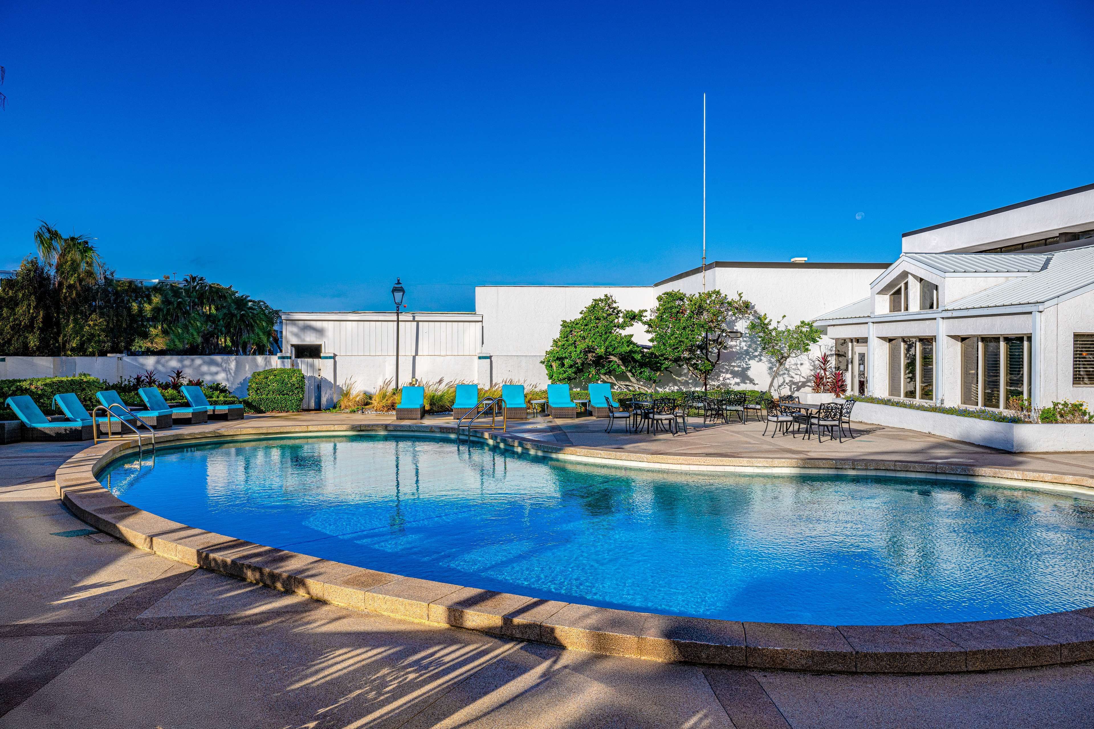 outdoor pool, pool loungers