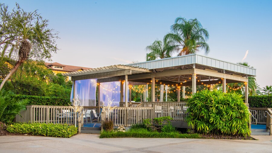 Hilton Tampa Airport Westshore