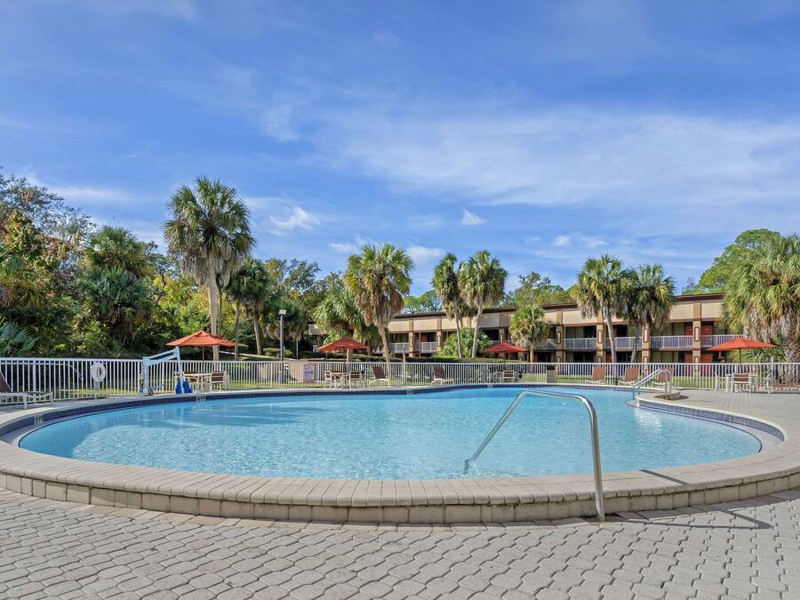 A circular pool with a metal ladder, surrounded by a paved walkway and palm trees.