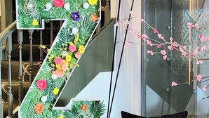  未分類圖片，第 2 張 (共 58 張)，按鈕