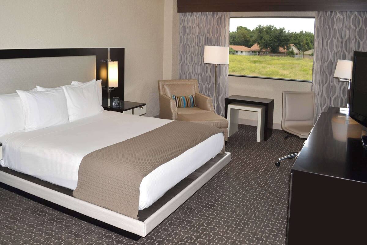 A hotel room with a large bed, a chair, a desk, a TV, and a window with a view of greenery.