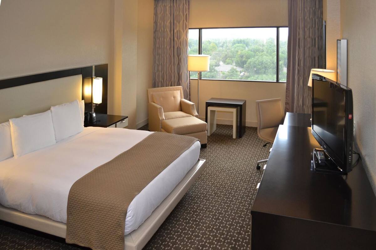 A hotel room with a large bed, a desk, a chair, a TV, and a window with a view of trees.