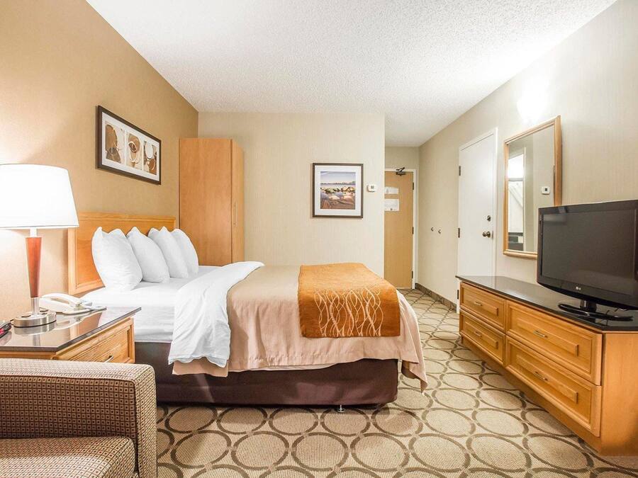 Una habitación de hotel con cama, escritorio con lámpara, televisor y cómoda.