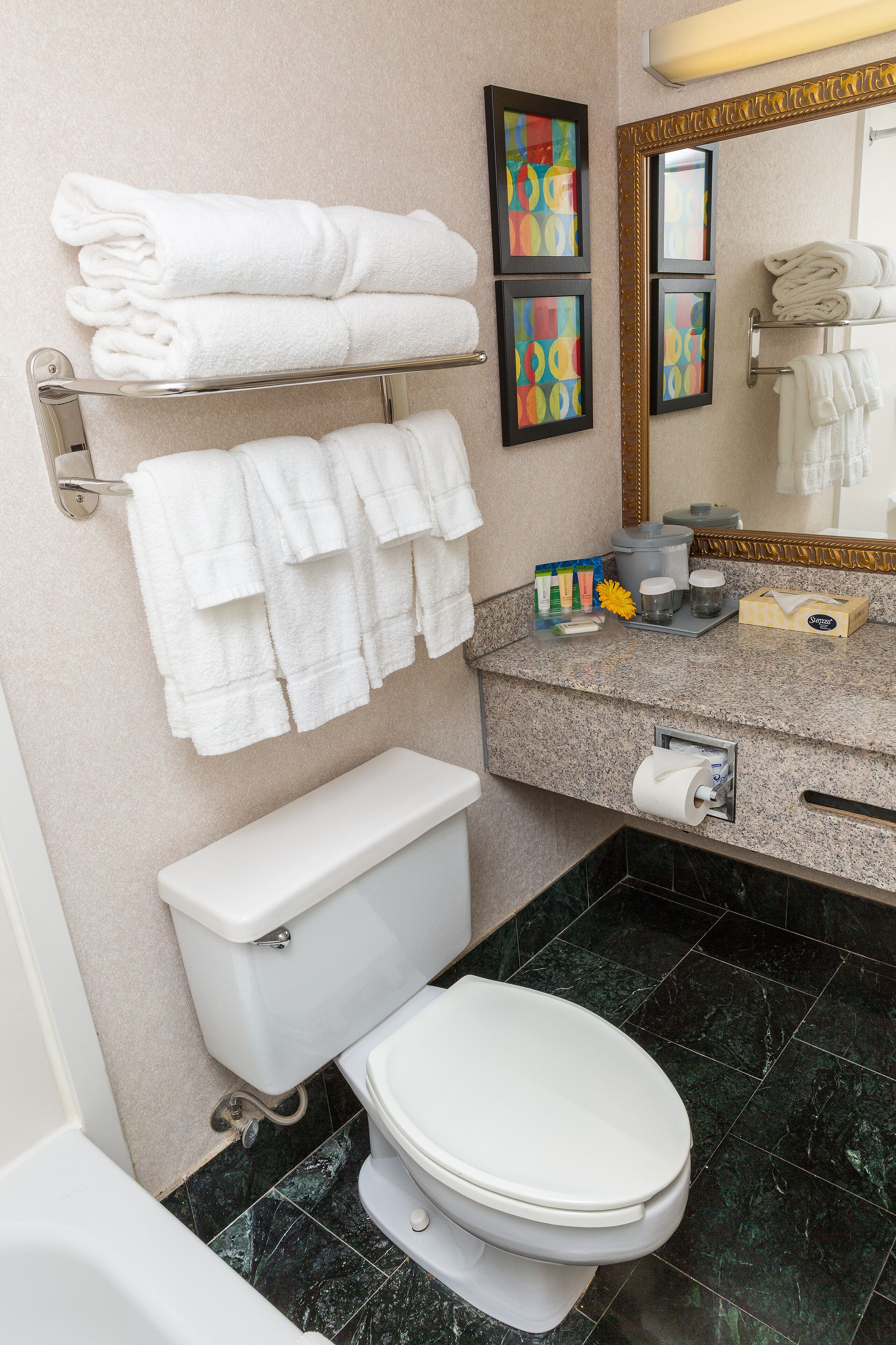 Combined shower/tub, free toiletries, hair dryer, towels