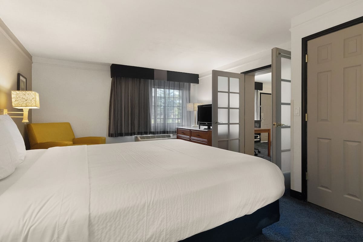 Suite, 1 King Bed, Non Smoking, Pool View | Premium bedding, pillow-top beds, desk, iron/ironing board