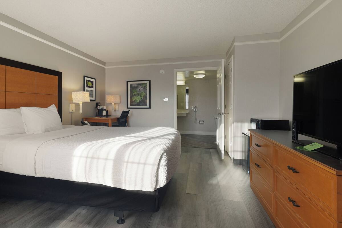 Een hotelkamer met een bed, nachtkastjes, een bureau, een stoel, een televisie en een kledingkast.
