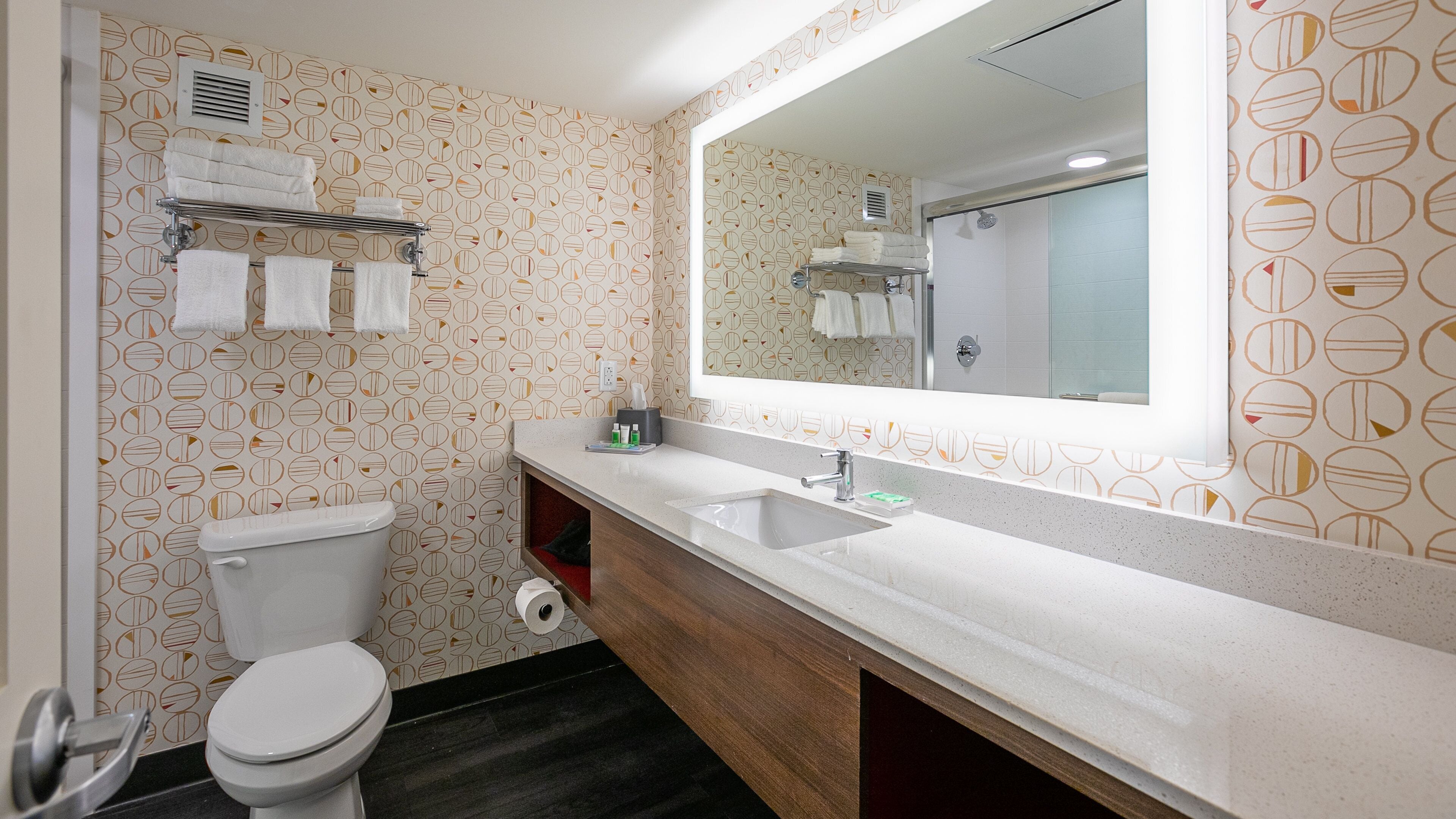 shower, free toiletries, hair dryer, towels