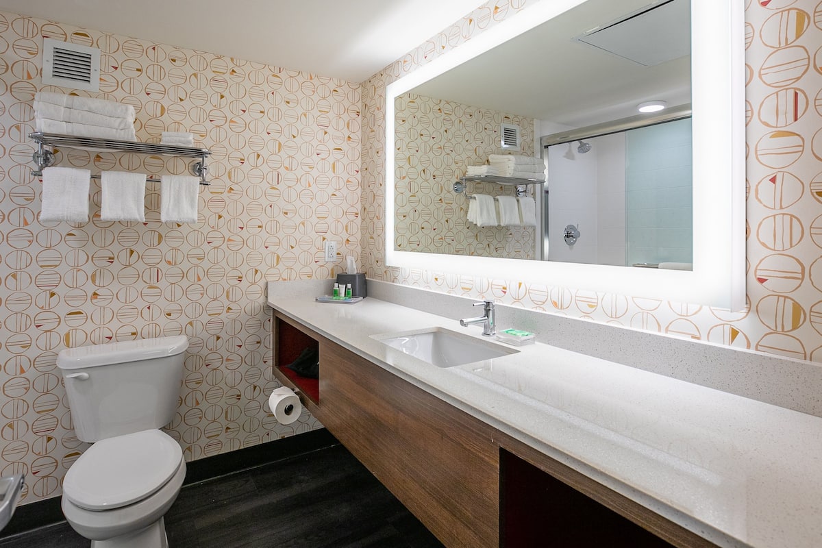 shower, free toiletries, hair dryer, towels