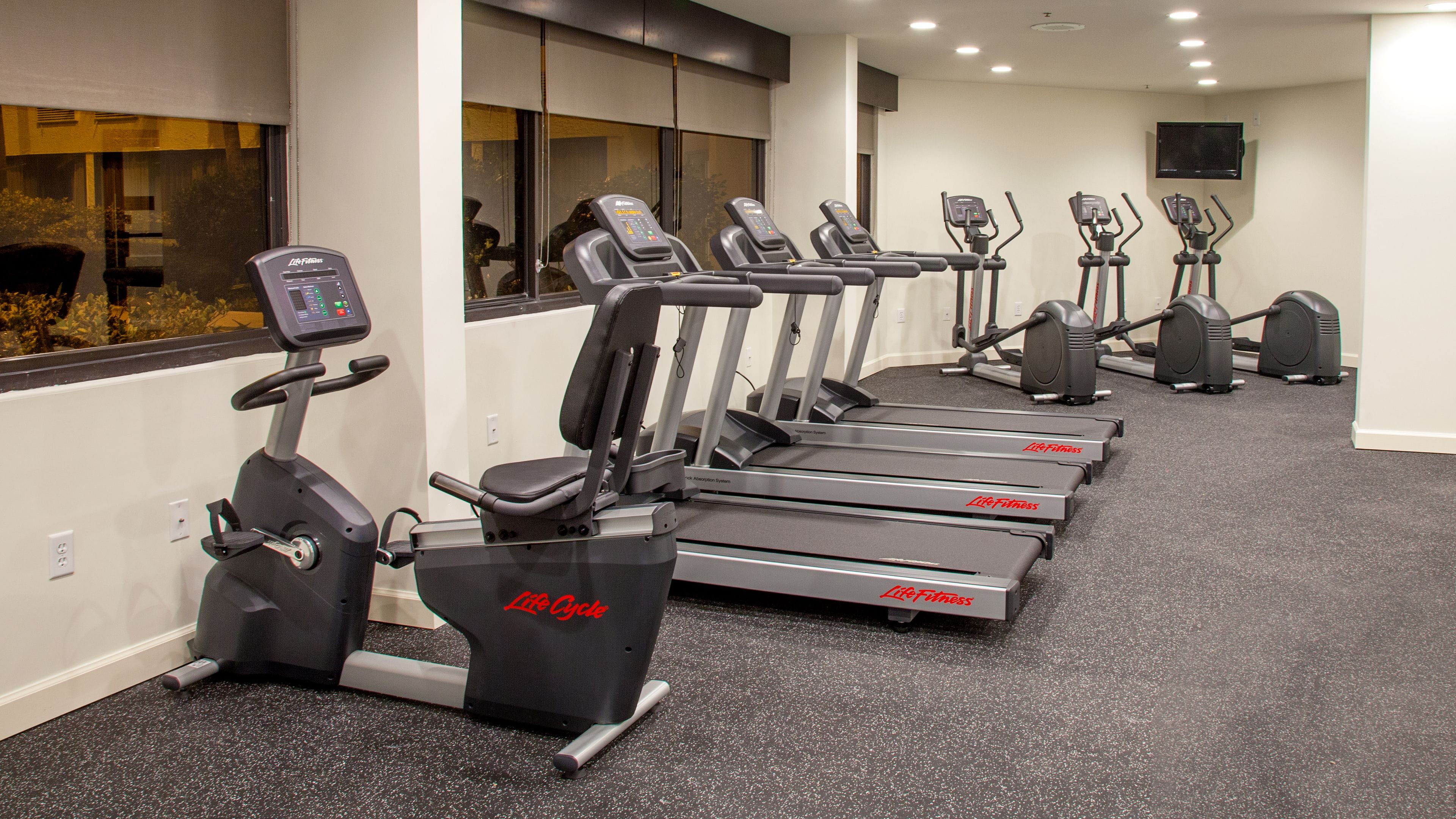 A row of treadmills and elliptical machines in a gym with a carpeted floor and large windows.