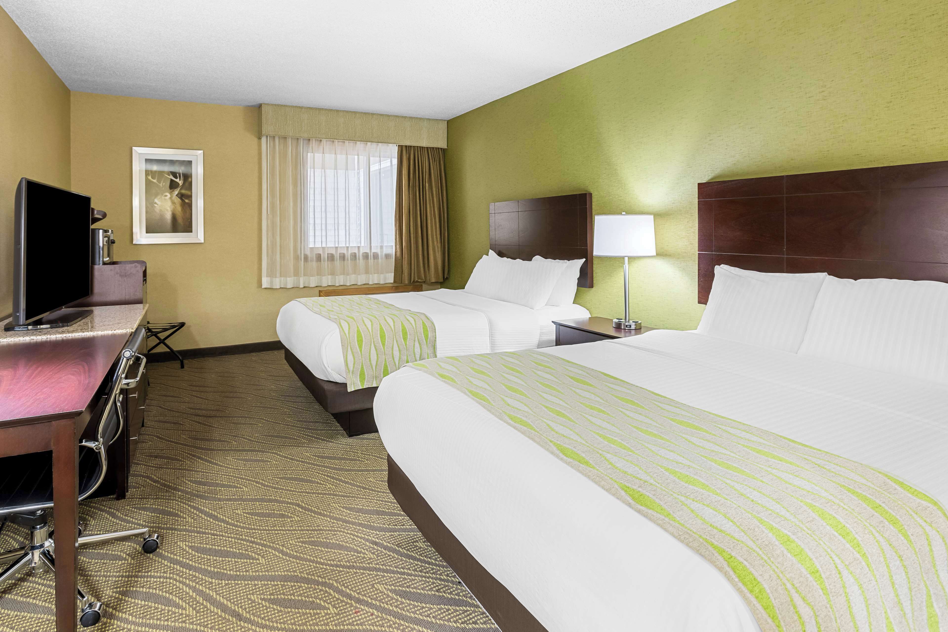 hypo-allergenic bedding, in-room safe, desk, laptop workspace