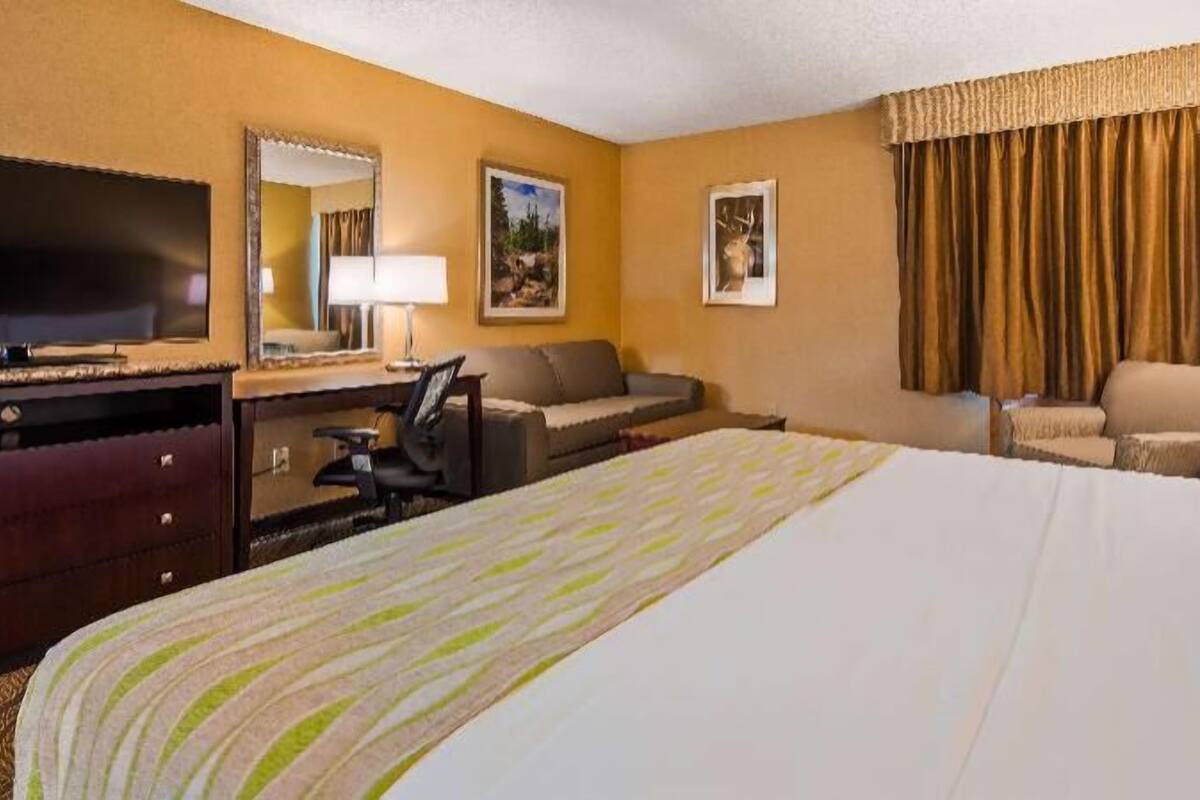 Hypo-allergenic bedding, in-room safe, desk, laptop workspace