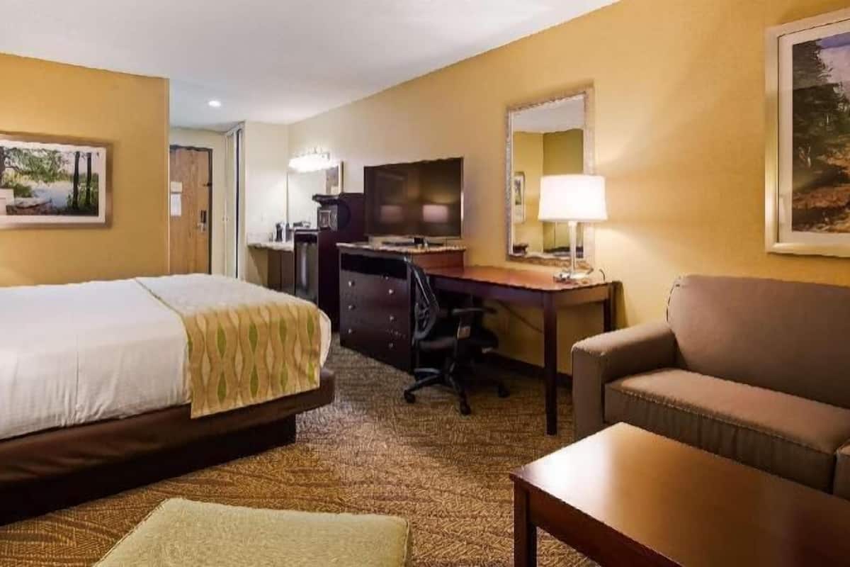 Hypo-allergenic bedding, in-room safe, desk, laptop workspace