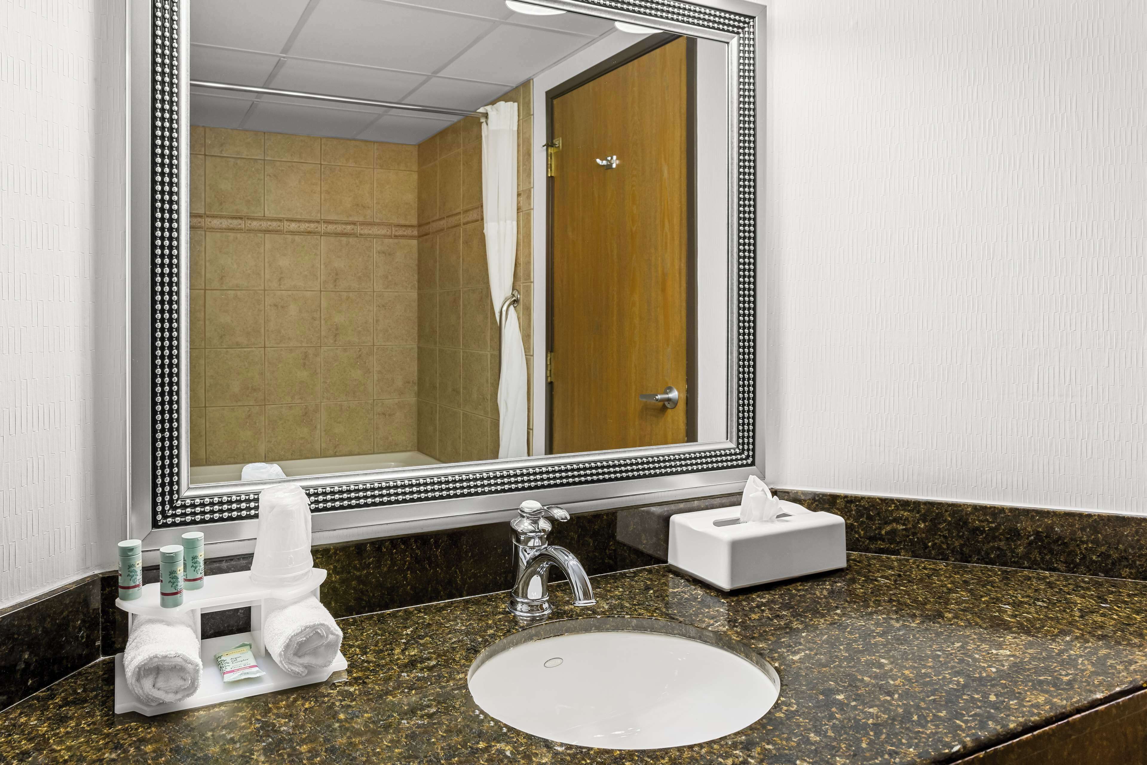 standard room, 1 king bed, non smoking, jetted tub (with sofabed) | bathroom | combined shower/bathtub, eco-friendly toiletries, hair dryer, towels