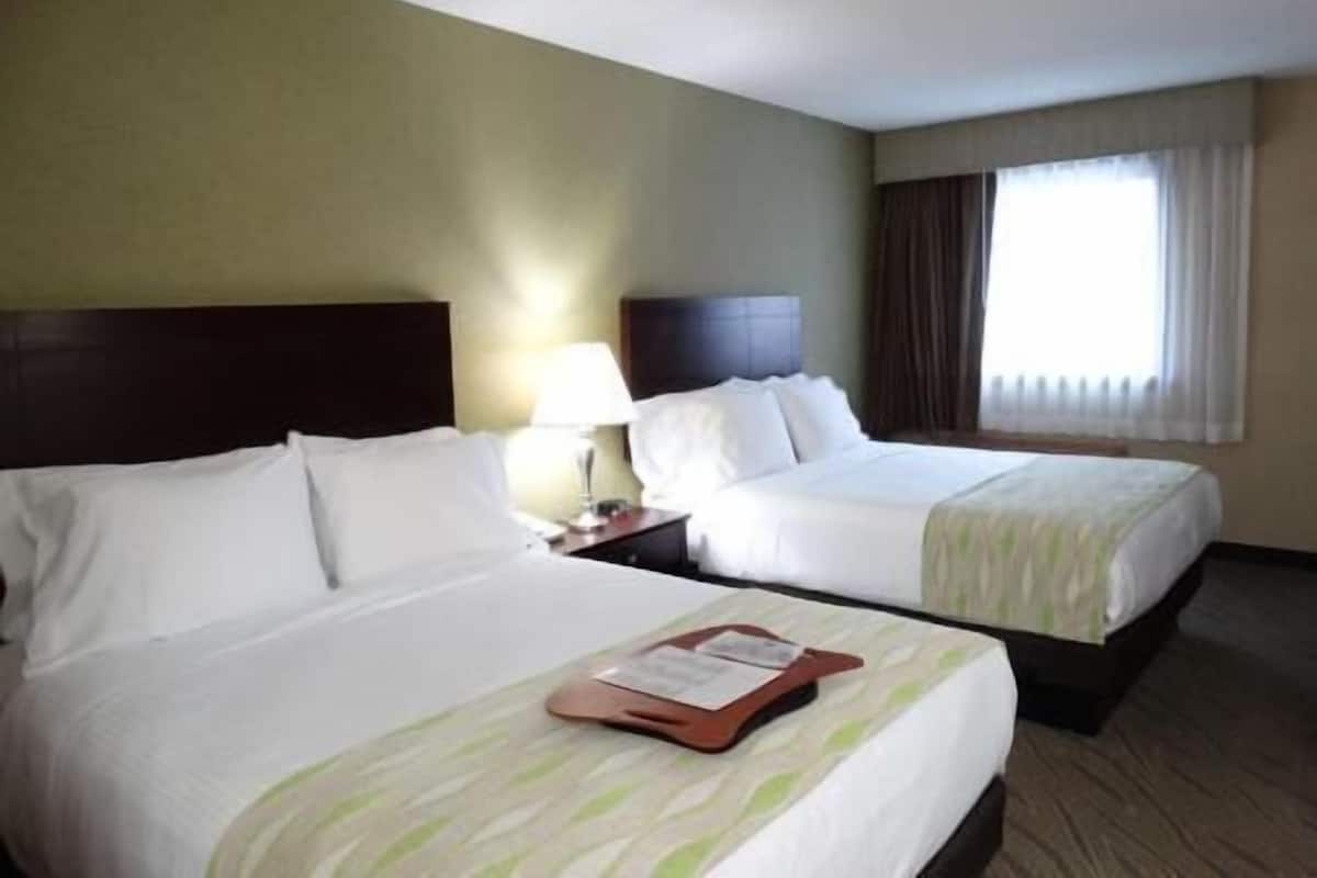 Hypo-allergenic bedding, in-room safe, desk, laptop workspace