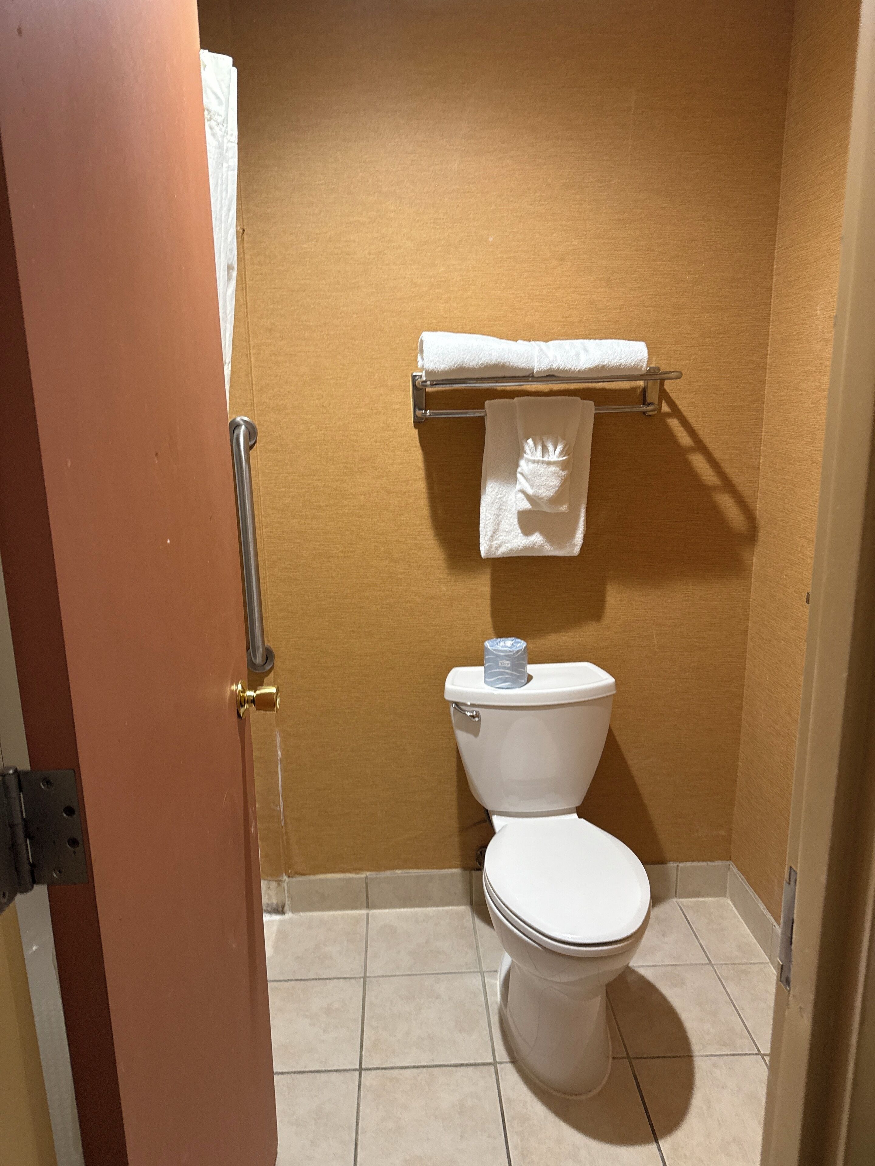 A small, clean bathroom with a toilet, a towel rack, and a door.